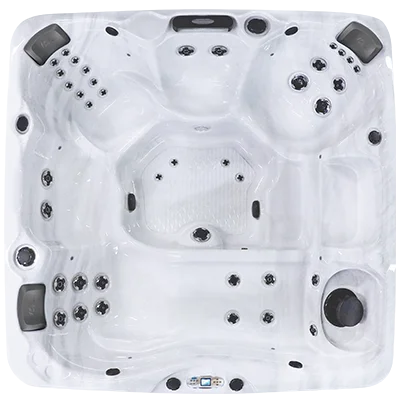 Avalon EC-840L hot tubs for sale in Jupiter